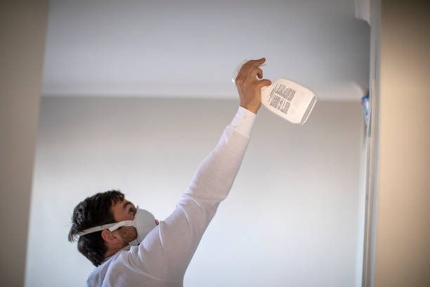 Best Mold Testing and Removal  in Chinchilla, PA