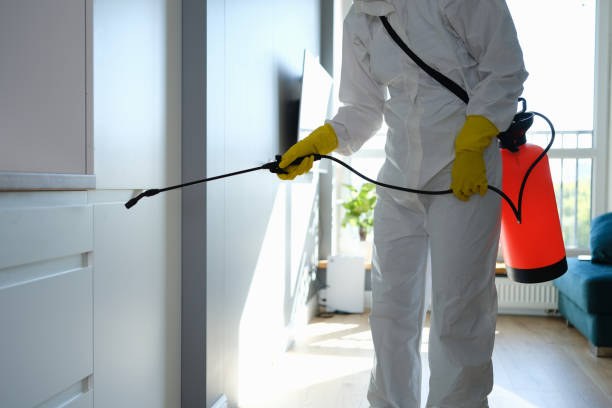 Best Fast Mold Removal  in Chinchilla, PA