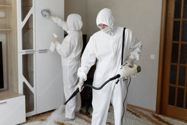 Professional Mold Removal in Chinchilla, PA