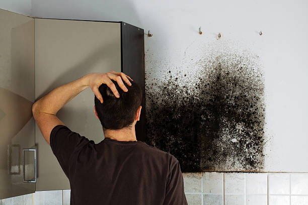 Best Crawl Space Mold Removal  in Chinchilla, PA